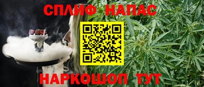крисы Кунгур