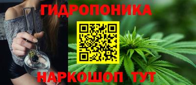 крисы Кунгур