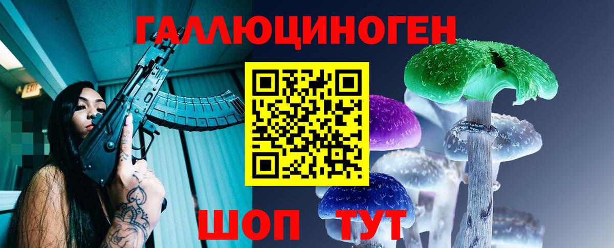 Галлюциногенные грибы Cubensis  Вход с VPN  Знаменск 
