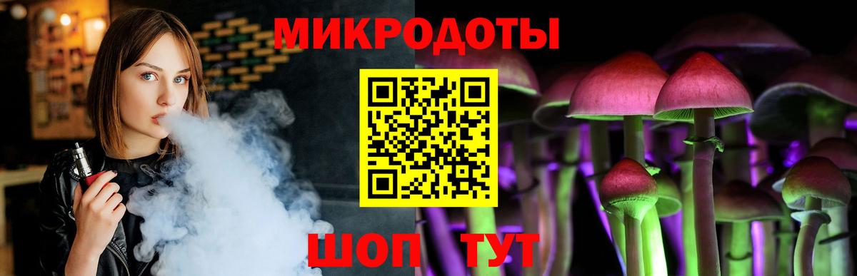 Псилоцибиновые грибы Cubensis Знаменск